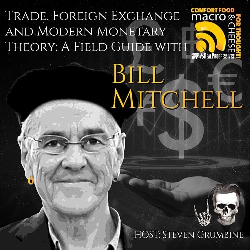 Bill Mitchell Trade Foreign Exchange MMT