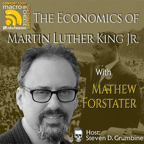 Mathew Forstater, Economics of Martin Luther King