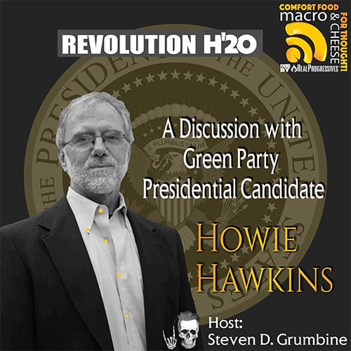 Howie Hawkins, Green Party