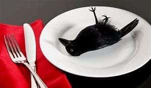 dead bird silhouette on a dinner plate