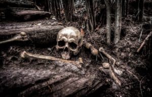 picture of a skull and other bones in a forest