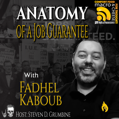 Episode 103 - Anatomy of a Job Guarantee with Fadhel Kaboub