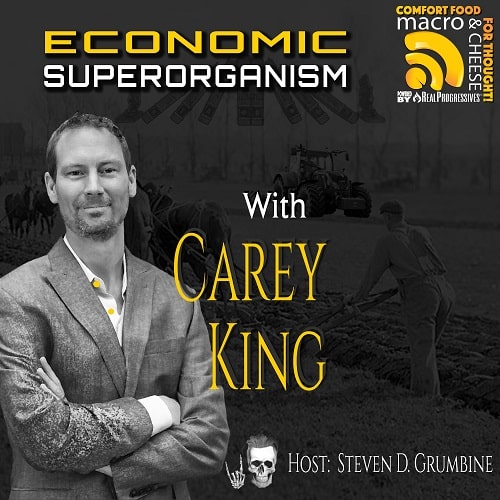 Carey King Economic Superorganism