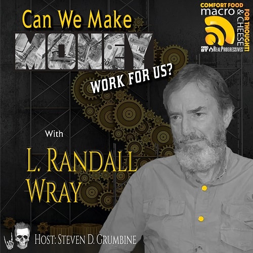 Randy Wray Can We Make Money Work for Us