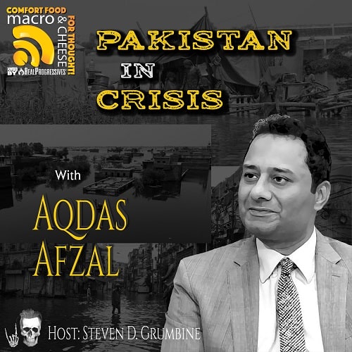 Pakistan in Crisis, Aqdas Afzal
