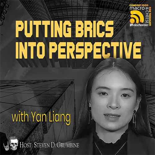 Episode 226 – Putting BRICS Into Perspective with Yan Liang