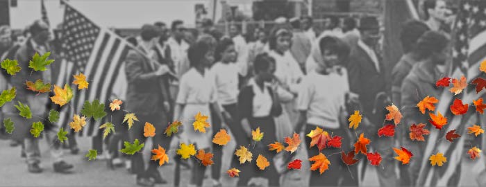 Selma March - Changing Leaves