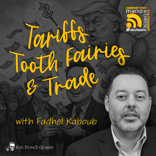 Episode 325 - Tariffs, Tooth Fairies & Trade with Fadhel Kaboub