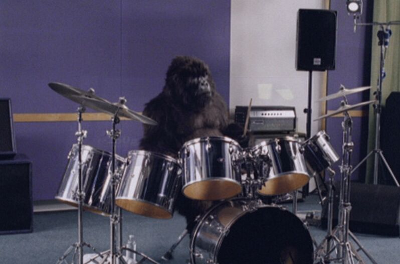 gorilla playing drums