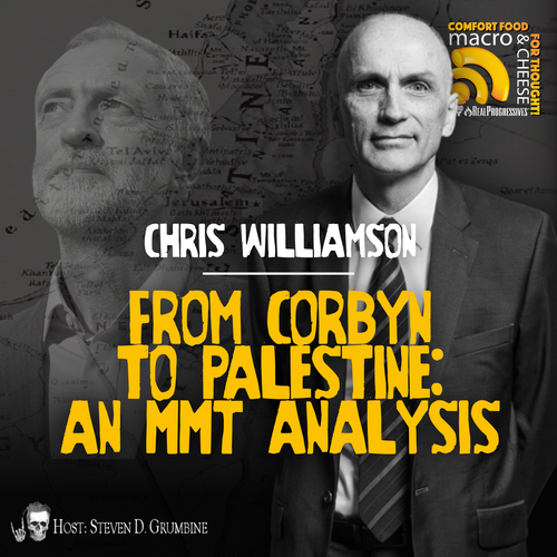 Episode 342 - From Corbyn to Palestine: An MMT Analysis with Chris Williamson
