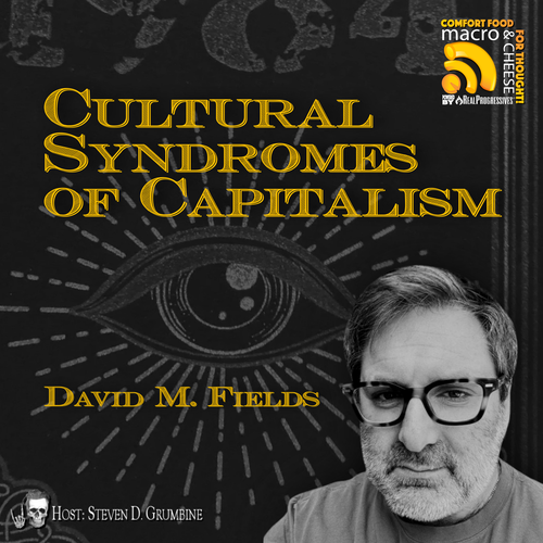 Episode 349 - Cultural Syndromes of Capitalism with David Fields