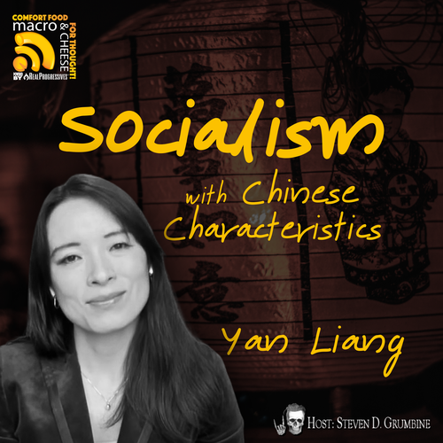 Episode 357 - Socialism with Chinese Characteristics with Yan Liang