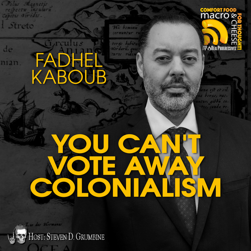 Episode 371 - You Can't Vote Away Colonialism with Fadhel Kaboub