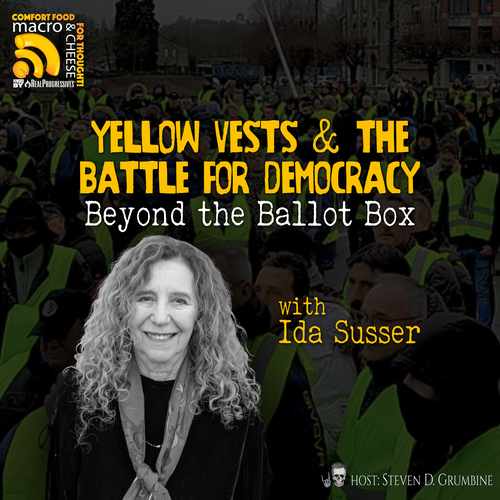 Episode 382 - Yellow Vests & the Battle for Democracy: Beyond the Ballot Box with Ida Susser