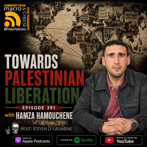 Episode 391 - Towards Palestinian Liberation with Hamza Hamouchene