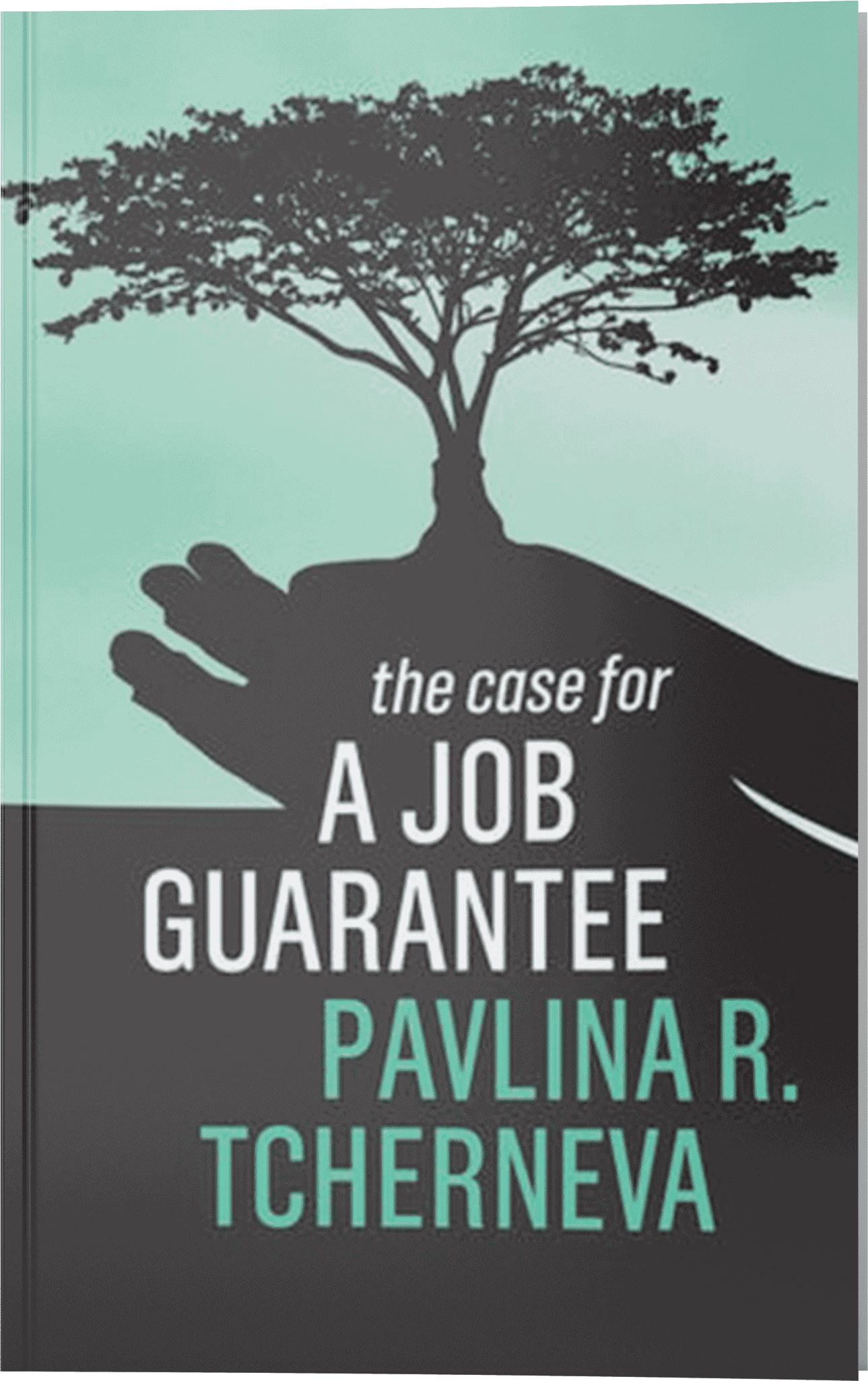 the case for a job guarantee book cover